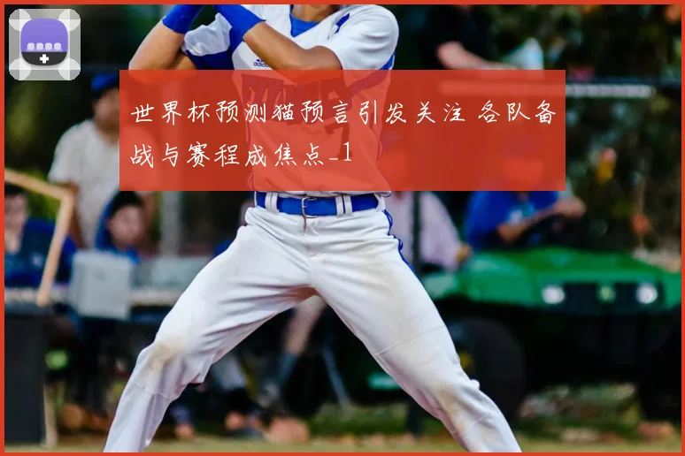 世界杯预测猫预言引发关注 各队备战与赛程成焦点_1