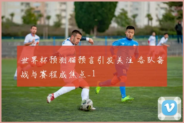 世界杯预测猫预言引发关注 各队备战与赛程成焦点_1